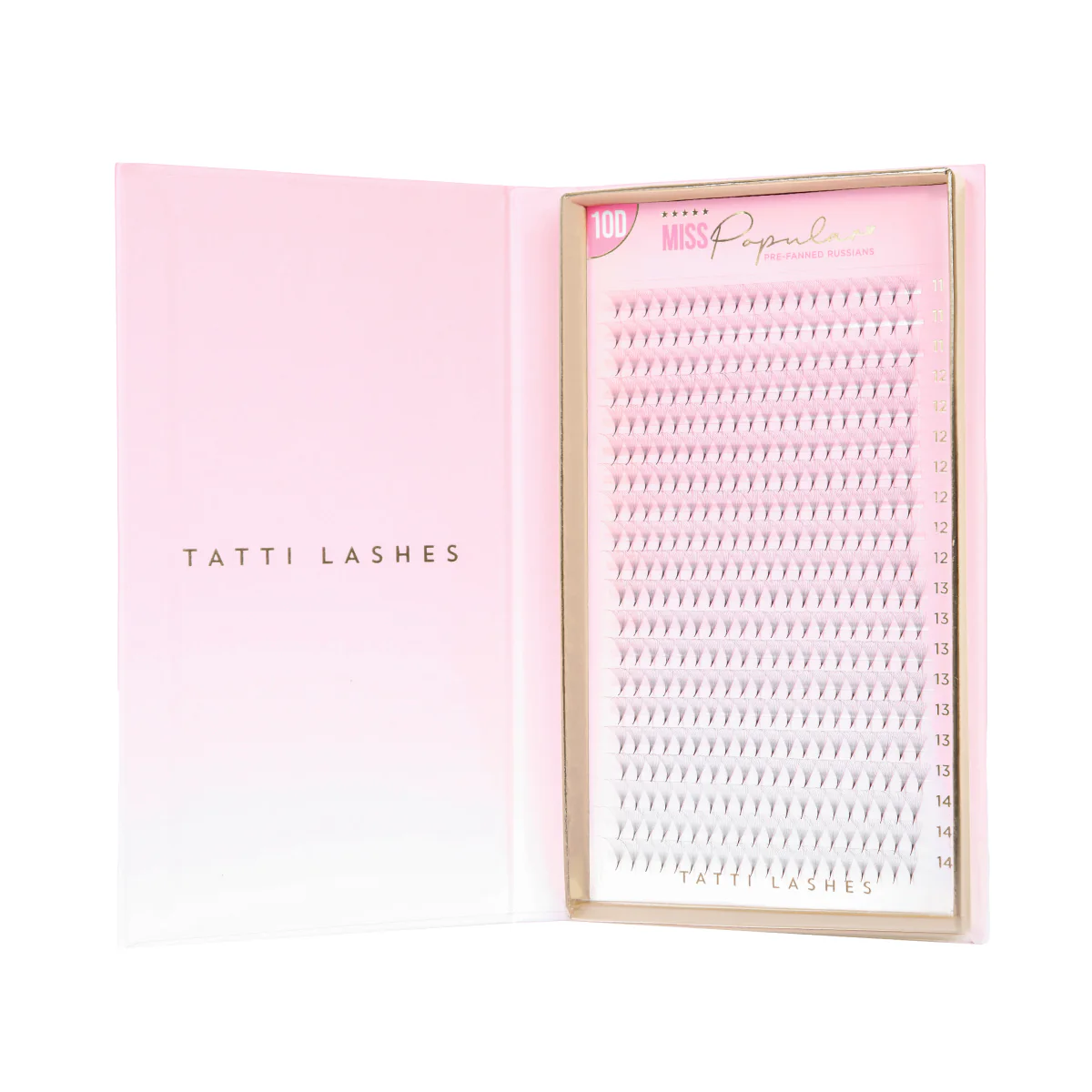10D Mixed-Length Pre Russian Lashes XL - Image 4