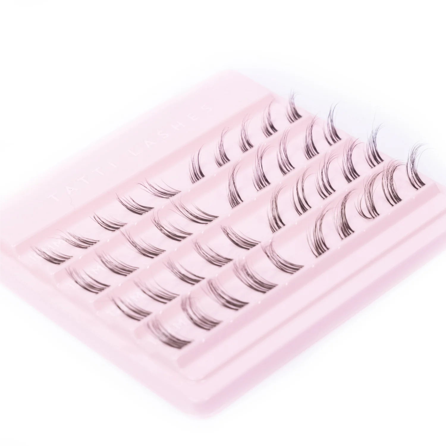 Dainty Wing - Image 7